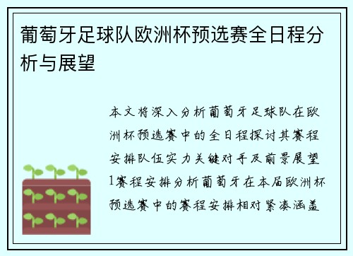 葡萄牙足球队欧洲杯预选赛全日程分析与展望
