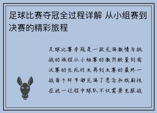 足球比赛夺冠全过程详解 从小组赛到决赛的精彩旅程
