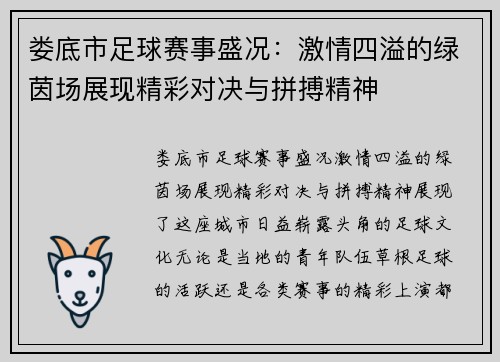 娄底市足球赛事盛况：激情四溢的绿茵场展现精彩对决与拼搏精神