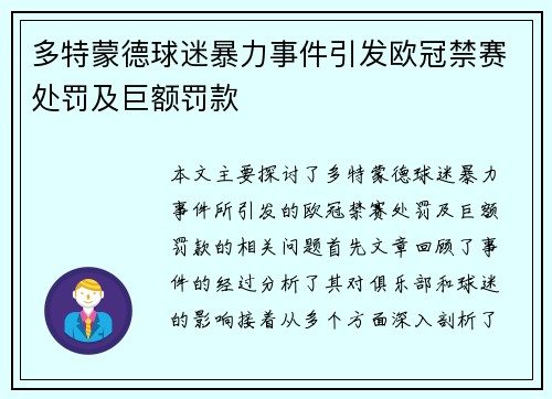 多特蒙德球迷暴力事件引发欧冠禁赛处罚及巨额罚款